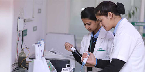 Para Medical Staff Jobs In Gulf